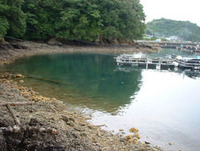 ランチ 2007/05/18 20:33:13
