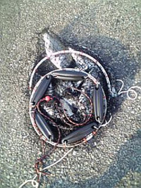 チヌ釣り 2007/09/02 21:14:56