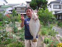 ひらめ 2007/06/19 18:42:55