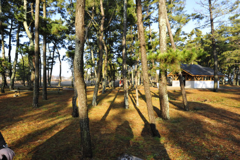 親父ソロな浮島