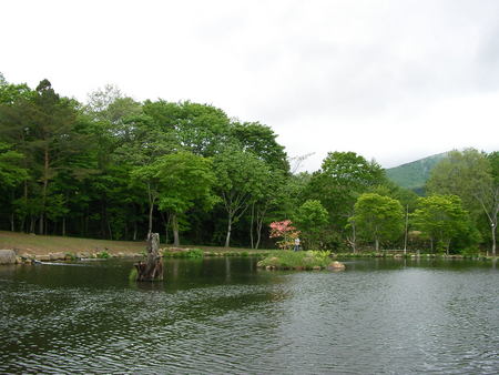 『管釣りロマン』！！！