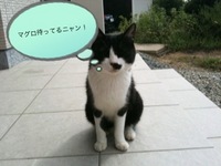 気持ちいい休日の始まり！！！ 2010/09/18 09:24:52