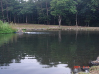 試してきました。