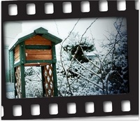 ホワイトクリスマスです！！！ 2010/12/25 09:56:21