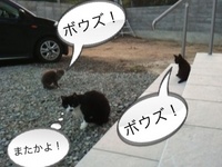 魚はありません！！！ 2010/09/18 18:53:00
