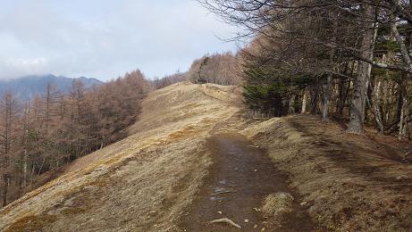 雲取山　H25,4,1