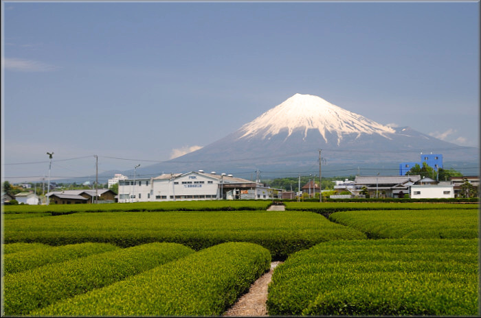 これぞ富士山！