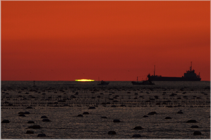 GREEN FLASH!!