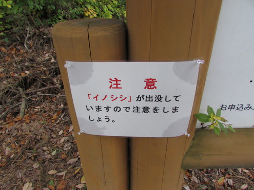 キャンプ場の偵察～県央の森公園キャンプ場