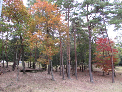 キャンプ場の偵察～県央の森公園キャンプ場