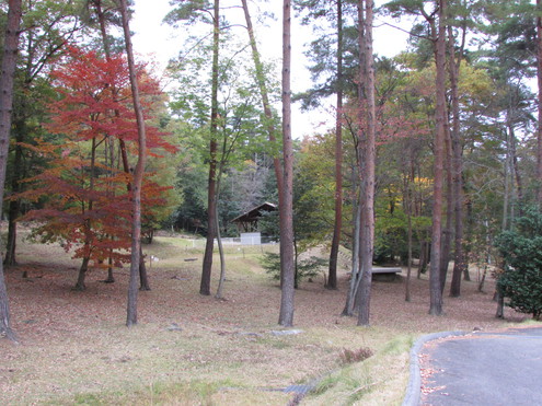キャンプ場の偵察～県央の森公園キャンプ場