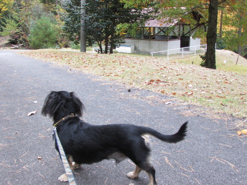 キャンプ場の偵察～県央の森公園キャンプ場