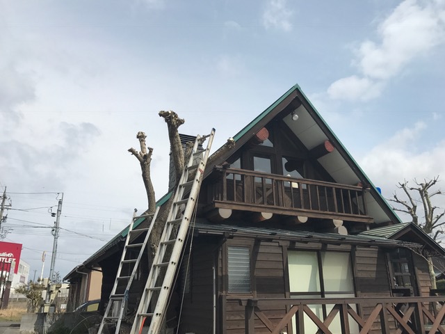 そろそろ切っとくか！