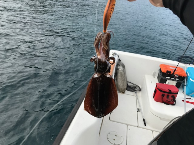 今週末は山に海に♪