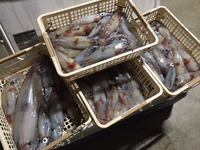 マイカ到来♪大人の夜遊びで出撃ですわ(￣ー￣)ﾆﾔﾘｯ