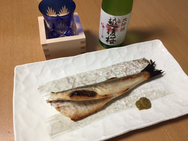 今年もサヨリパターン開幕♪