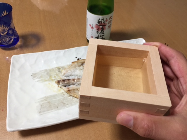 今年もサヨリパターン開幕♪