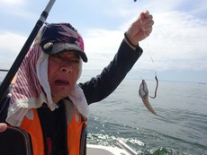 メゴチ釣り？