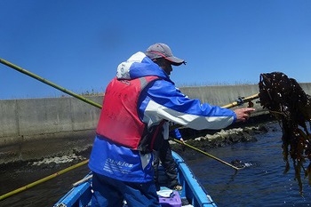 釣り始めて直ぐ入れ食い