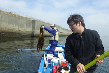 天然ワカメのメカブ、茎はまだ1～2週間はいけそうです