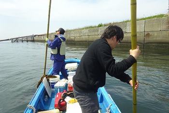 天然ワカメのメカブ、茎はまだ1～2週間はいけそうです