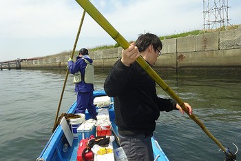 天然ワカメのメカブ、茎はまだ1～2週間はいけそうです