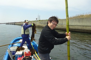 天然ワカメのメカブ、茎はまだ1～2週間はいけそうです