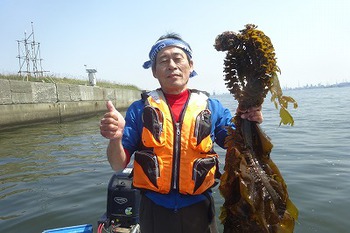 今シーズン最後の天然ワカメの茎、めかぶ