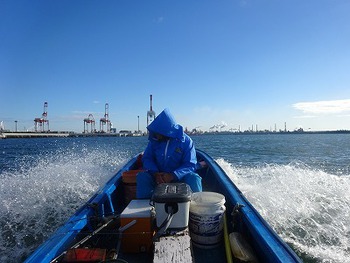 船頭の釣果を捌きます