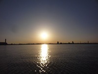 今シーズンのキスは充分楽しめそうです