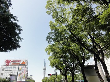 木陰がうれしい一日でした