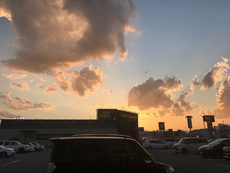 毎日筋肉痛・・・ 2021/05/30 19:07:00
