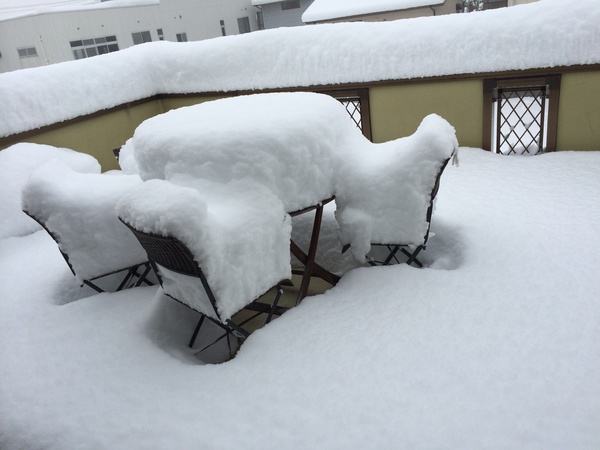 久々に降ったな､､､､