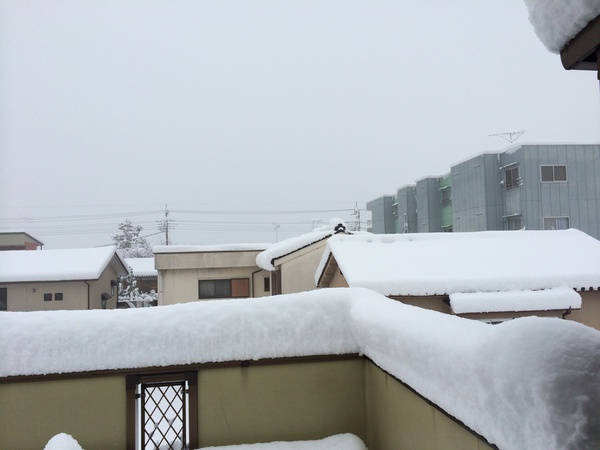 久々に降ったな､､､､