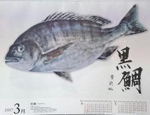 魚拓暦：３月＆横浜ナイト