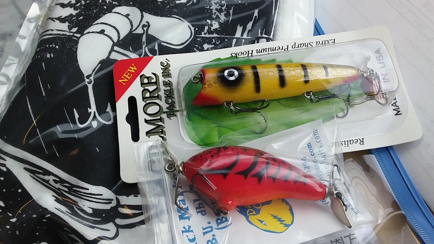 新作入荷