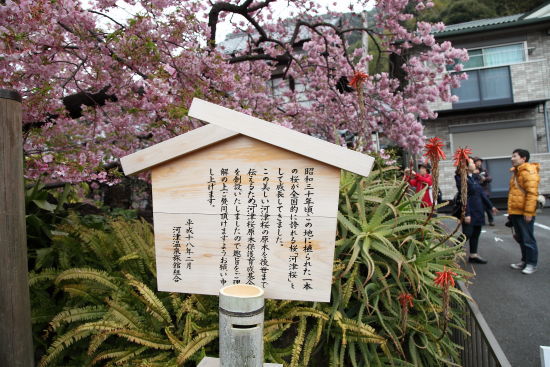春を求めて初出撃♪（in伊豆）2014-3-2～3　前編