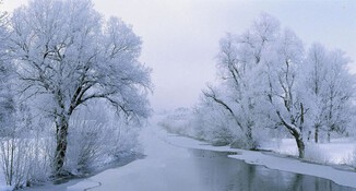 ガセネタの川　......  winter journey