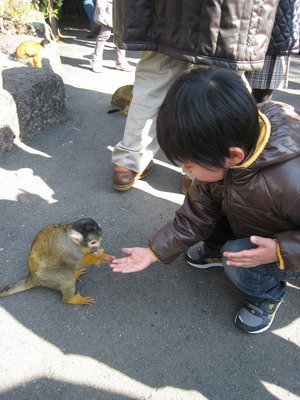 一年に一度くらいは