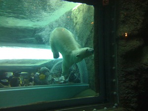 静岡市立日本平動物園