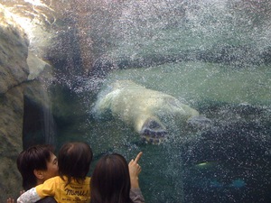 静岡市立日本平動物園