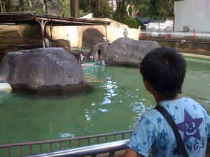 静岡市立日本平動物園