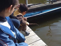 金魚釣り