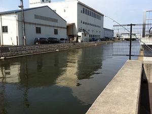 夏の風物詩