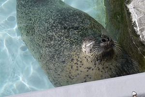 夏の北海道旅行