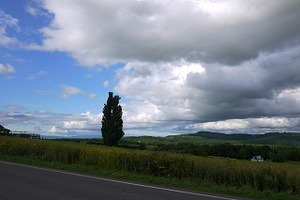 夏の北海道旅行