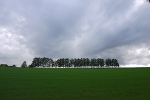 夏の北海道旅行