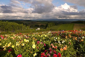 夏の北海道旅行