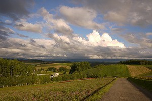 夏の北海道旅行