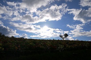 夏の北海道旅行